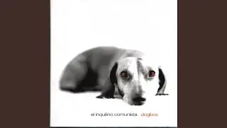 Sense Answers