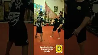 Tac Jeung - back palm.  Chow Gar Southern Praying Mantis kung fu.