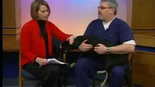 Petsaver Friday