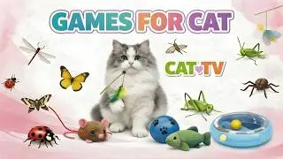 CAT GAMES 🐾 3D Cat TV Birds & Snakes on Screen (Nonstop Hunt) 🐦🐍 | 6 Hours 4K60FPS