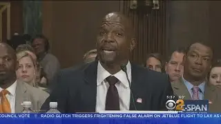Terry Crews Testifies About Being A Sexual Assault Survivor