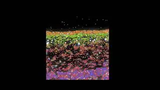 JID July 2024 Cover:  Spatial in situ transcriptome analysis of mouse skin at embryonic day 13.5