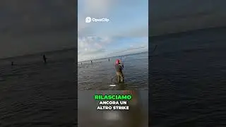 Pescatore rilascia il pesce  La gara &egrave; iniziata! #fishing #viralvideo