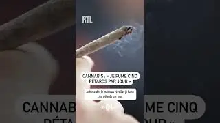 Cannabis : 