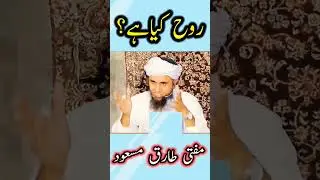 Rooh kya hai? || Mufti Tariq Masood #rooh #ahmadvoice #islam #muftitariqmasood