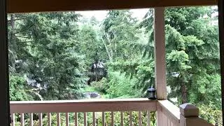 Nature ASMR || Hail/ Rain/ Mini Thunderstorm ☔️