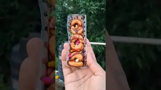 🍸Zems chocolate🍫 popsicle 🍧🍡#viralvideo #icecream #popular #popsicle#shorts#viral#ytshorts #homemade