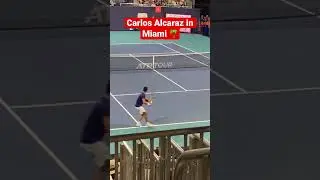 Carlitos at the Miami open! #tennis #trending #courtleveltennis #carlosalcaraz #alcaraz #miamiopen