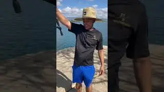 Good size papio at Hickam base pier