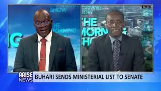 Buhari's ministerial nominations: I don't expect any performance optics- Sam Amadi