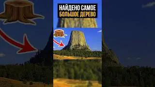 Найден Иггдрасиль! Каменные корни огромной скалы&hellip;