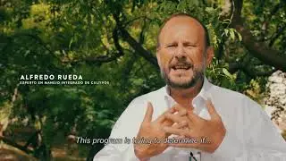 USAID COSECHA Water Harvesting Program in Honduras Implemented by Global Communities