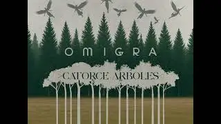 SIN LO SIENTO * OMIGRA -feat DHEUBKASTRO & FRANENEMY.