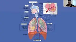 Regenerative Medicine for Pulmonary Diseases ✔️✔️✔️