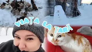Drumuri &icirc;nghețate, animale flăm&acirc;nde și multă muncă &ndash; iarna la țară#iarnalatara