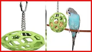 Quality product -  JW Pet Company Activitoys Hol-ee Roller Parrot Toy, 4 Inch Diameter (Colors Vary