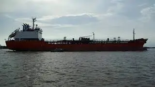 test Hasselblad of Moto mods  -super zoom 40x (2)