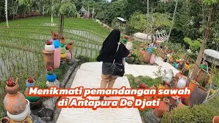 Kuliner,  jalan-jalan di tengah persawahan Antapura De Djati