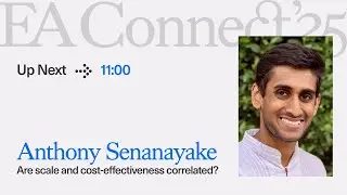 Are scale and cost-effectiveness correlated?  | Tony Senanayake | EA Connect 2025
