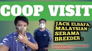 COOP VISIT MALAYSIAN SERAMA BREEDER