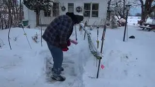 Clearing the Yard after 6 inches of new snow 2025
