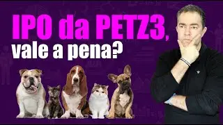 IPO da PETZ, vale a pena entrar? Excel&ecirc;ncia no Bolso