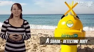 Engineering Update #65: A shark-detecting buoy