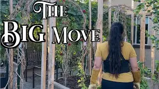 Taking Apart My Dream Garden: Moving 40 Fruit Trees from Zone 9 to 7