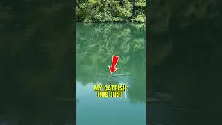 Мое удилище для ловли сома УКРАЛА рыба!! 🎣🤬🐟 #шорты #рыбалка