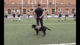 iK9 Service Dogs Matter
