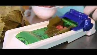 Vegetable Meat Roller
