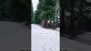 கண்ணை கொள்ளை கொள்ளும் ஊரு 😳 🤍 #trending #travel #viralvideo #tips #viralshort #viral #shorts