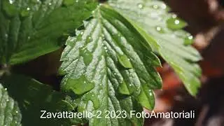 Zavattarello 2 2023 FotoAmatoriali