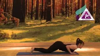 Yoga - Knees Chest Chin