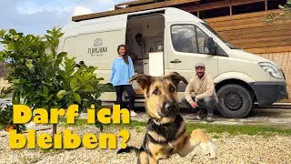 VANLIFE SIZILIEN - Ab jetzt zu Dritt im Van? - FLORIJANA VLOG 126