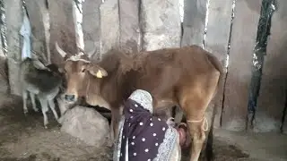 My home and gomatha  vlogs 😮