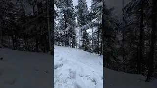Have Snow Usho Forest planned #shortsfeed #snowfall #viral #snow #kalamvalley #exploreswat