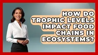 How Do Trophic Levels Impact Food Chains in Ecosystems? | Explaining Ecology News