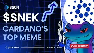 Exploring $SNEK: Cardano's TOP Memecoin Project!