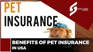 The Benefits of Pet Insurance in the US. #usa #health #insurance #pets #pet