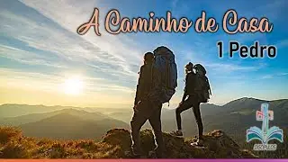 IDENTIFIQUE OS VERDADEIRO DOS FALSOS PASTORES - EXPOSIÇÃO DE 1PEDRO 5:1-4