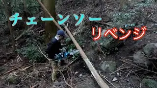 【伐倒作業】昨年積み残しのチェーンソー作業を新年一発目に！