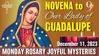 Novena to Our Lady of Guadalupe Day 9 Monday Rosary ᐧ Joyful Mysteries Rosary 💜 December 11, 2023