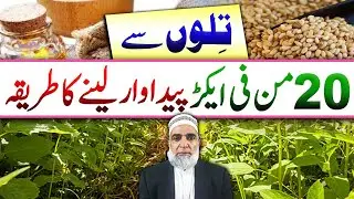 How to achieve maximum yield of Sesame || Crop Reformer