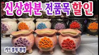 #신비화분(#신비의다육정원)- 인기쟁이 화분들이 재입고 되었어요~