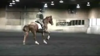 Fine Arnold -  Evaluation at Manolo Mendez Clinic