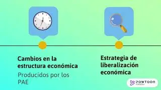 Cambios en la estructura econ&oacute;mica producido por los Programas de Ajuste Estructural (PAE)