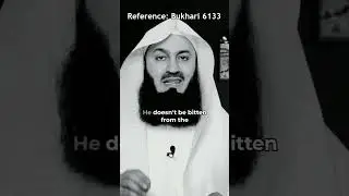 A true believe is not bitten from the same hole twice &bull; Mufti Menk #allah #الله #muhammadﷺ #islam