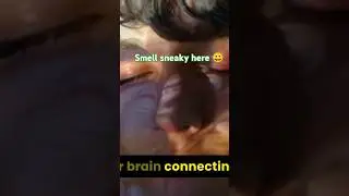 The Mind-Blowing Science Behind Why Smells Trigger Memories!