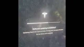 TESLA New Headlight NOT working FIXED! Software Reinstall